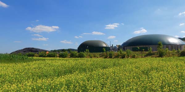 Biogas / biomethane plant in a maize field - performance evaluations and inspections